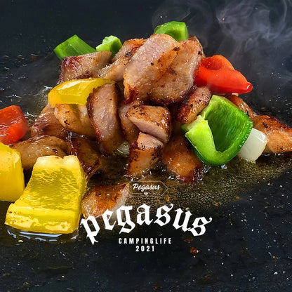 Grill Pan BBQ