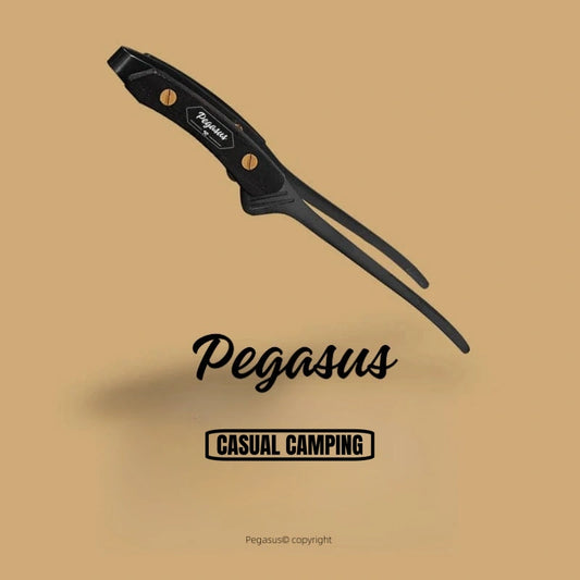 Barbecue Tongs